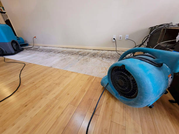 Professional Basement Flood Cleanup technician working in Golden, CO